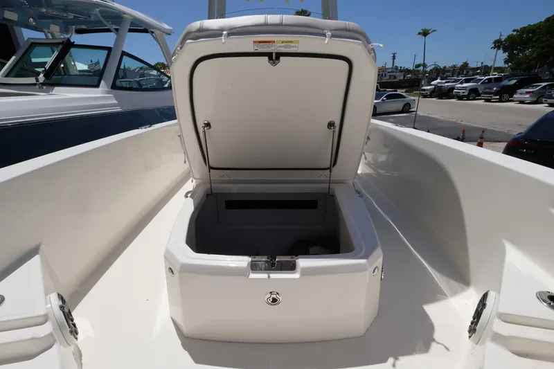 Slide: The Image of Boston Whaler 250 Dauntless 2027 - 19