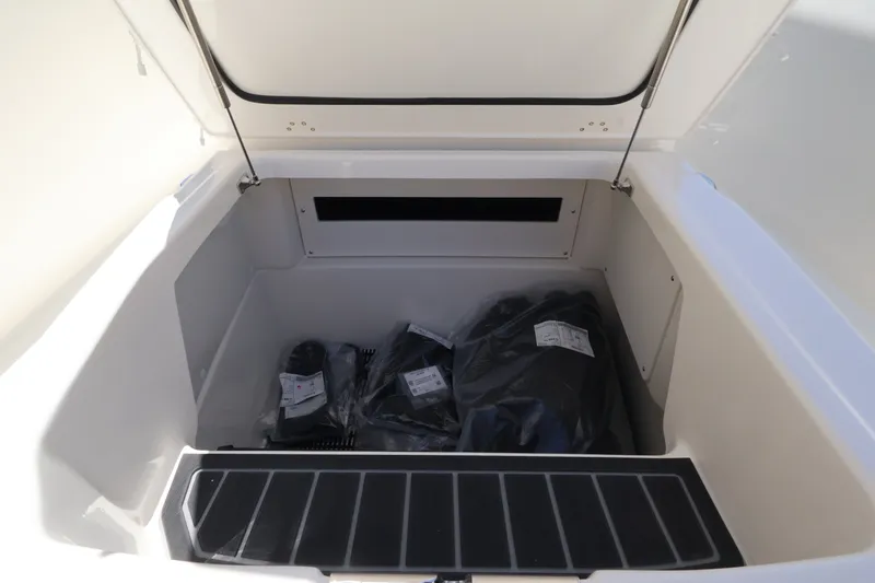 Slide: The Image of Boston Whaler 250 Dauntless 2027 - 20