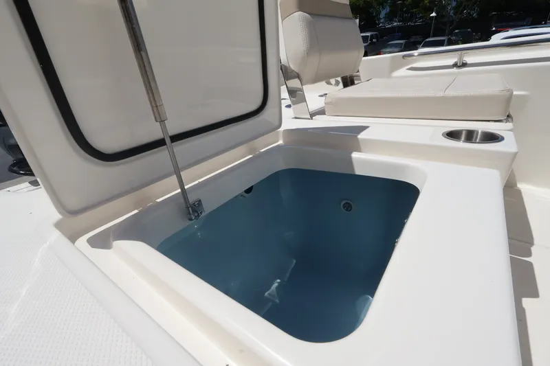 Slide: The Image of Boston Whaler 250 Dauntless 2027 - 8