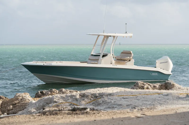 Slide: The Image of Boston Whaler 250 Dauntless 2027 - 16