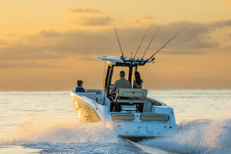 Slide: The Image of Yamaha 222 FSH Sport E 2026 - 1