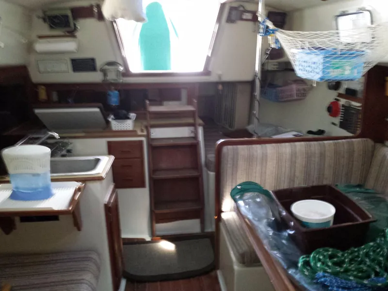 Slide: The Image of Watkins 32 1983 - 50