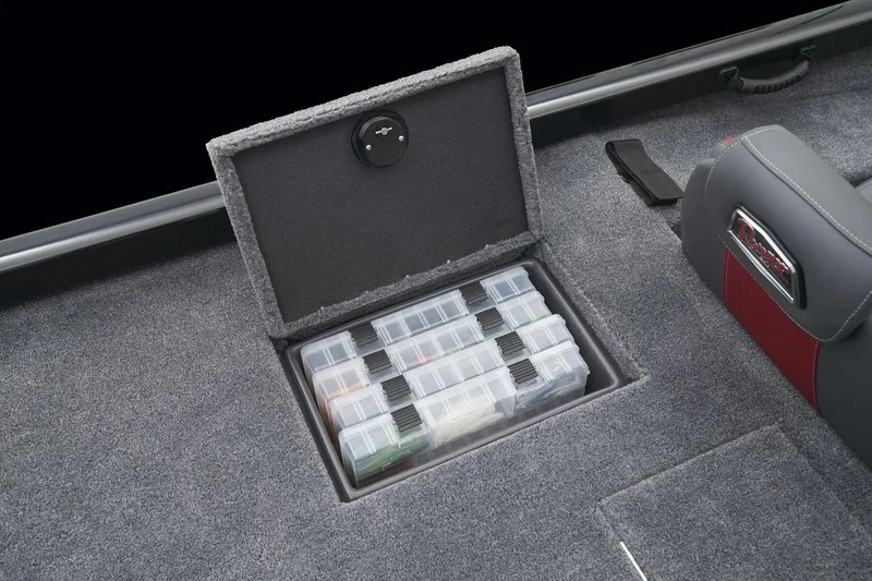 Slide: The Image of Ranger RT188 - 38