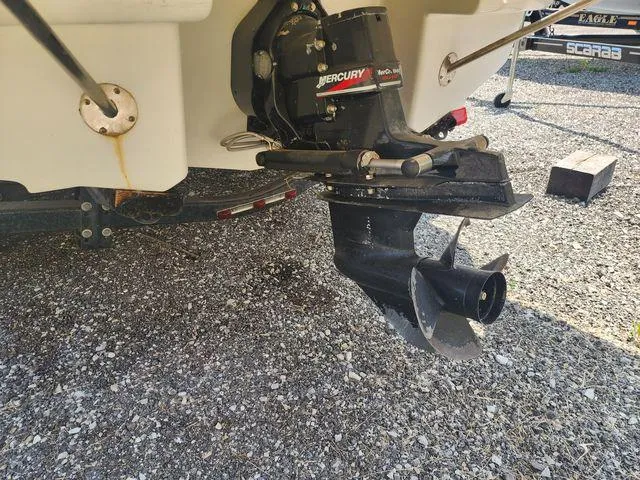 Slide: The Image of Image 15 - 15