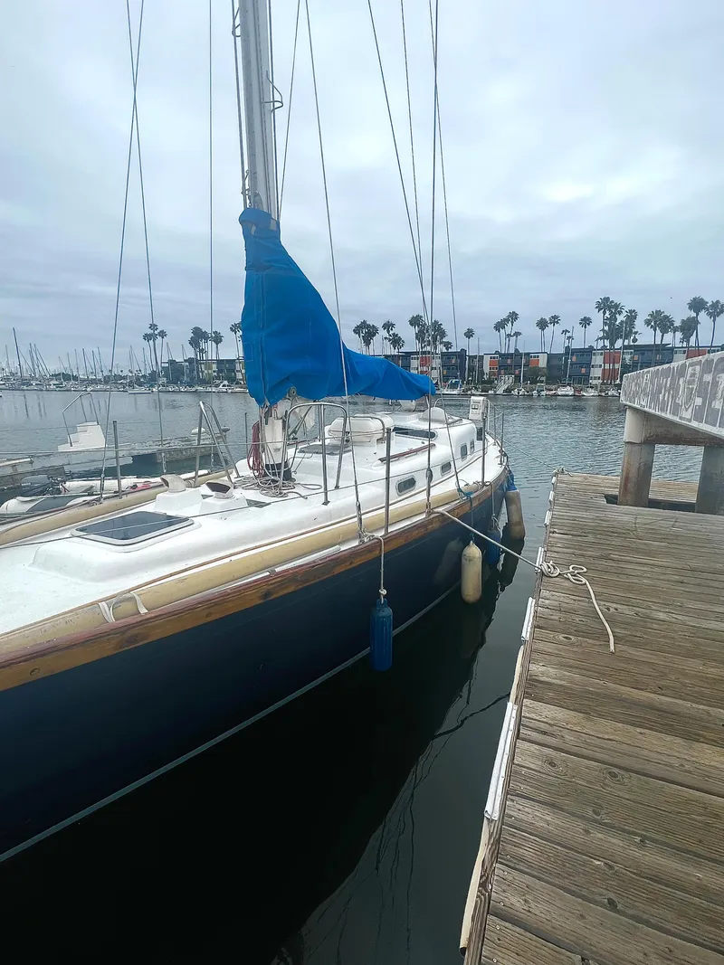 Slide: The Image of 1977 Van De Stadt Rebel 42 sailboat docked at a marina with palm trees in the background. - 10