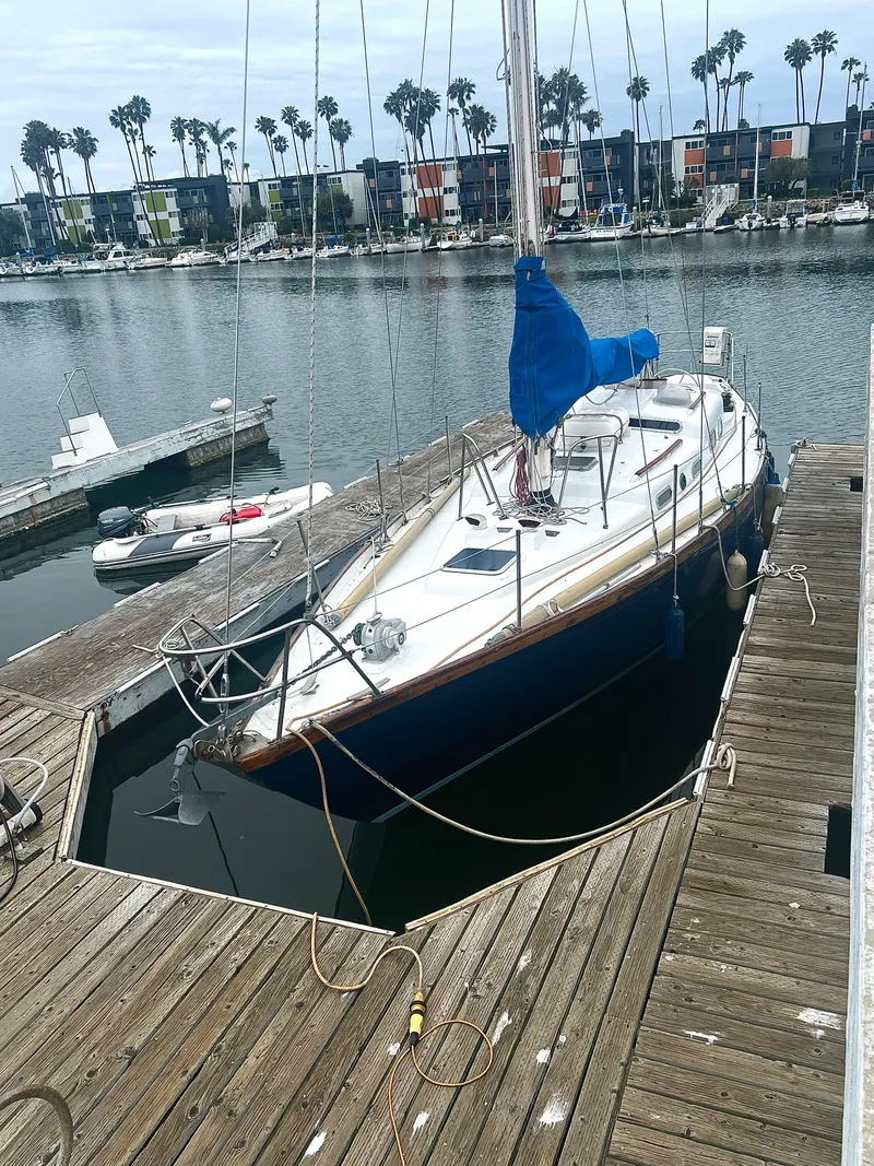 Slide: The Image of 1977 Van De Stadt Rebel 42 sailboat docked in a marina with palm trees. - 6