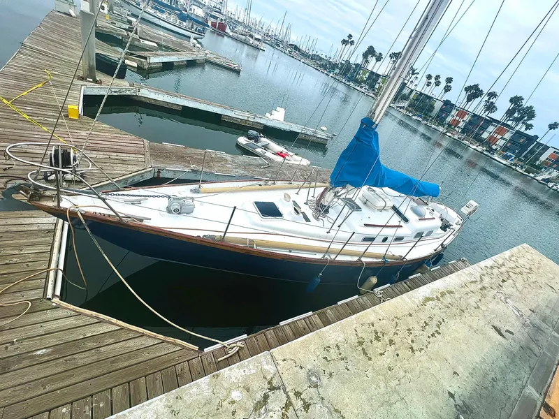 Slide: The Image of 1977 Van De Stadt Rebel 42 sailboat docked in a marina with blue sail cover. - 7