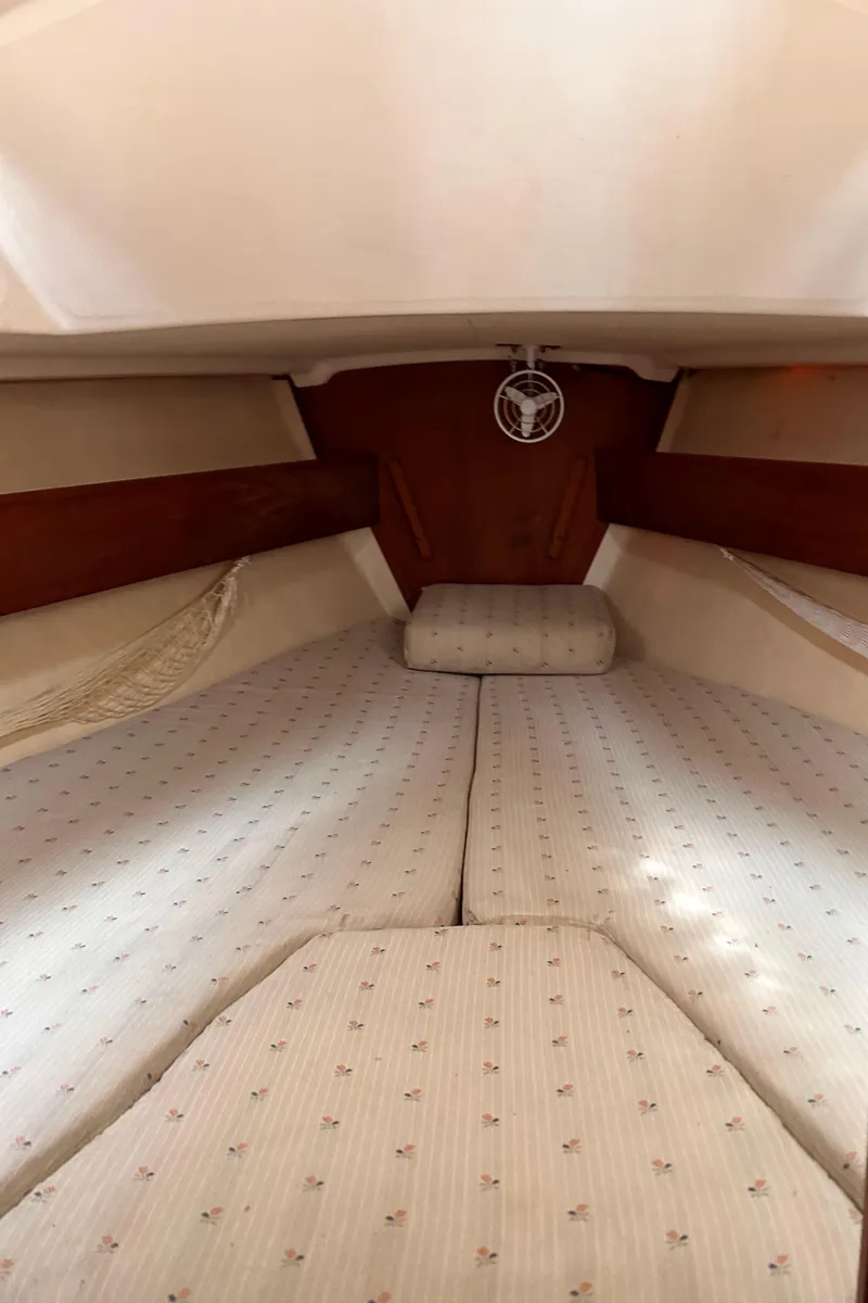 Slide: The Image of 1979 Sabre 28-2 sailboat interior cabin with cushioned V-berth. - 35
