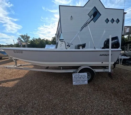 The Image of Sundance DX20 Trailer Included 2023 - 1