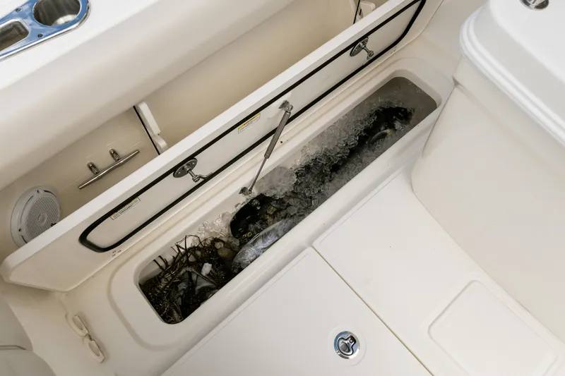 Slide: The Image of Boston Whaler 250 Outrage 2027 - 84