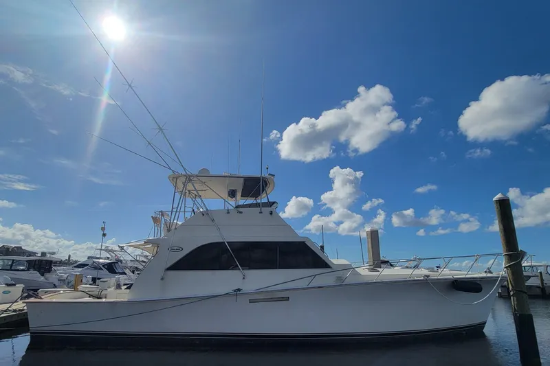 Slide: The Image of 1985 Ocean 55 Super Sport - 49