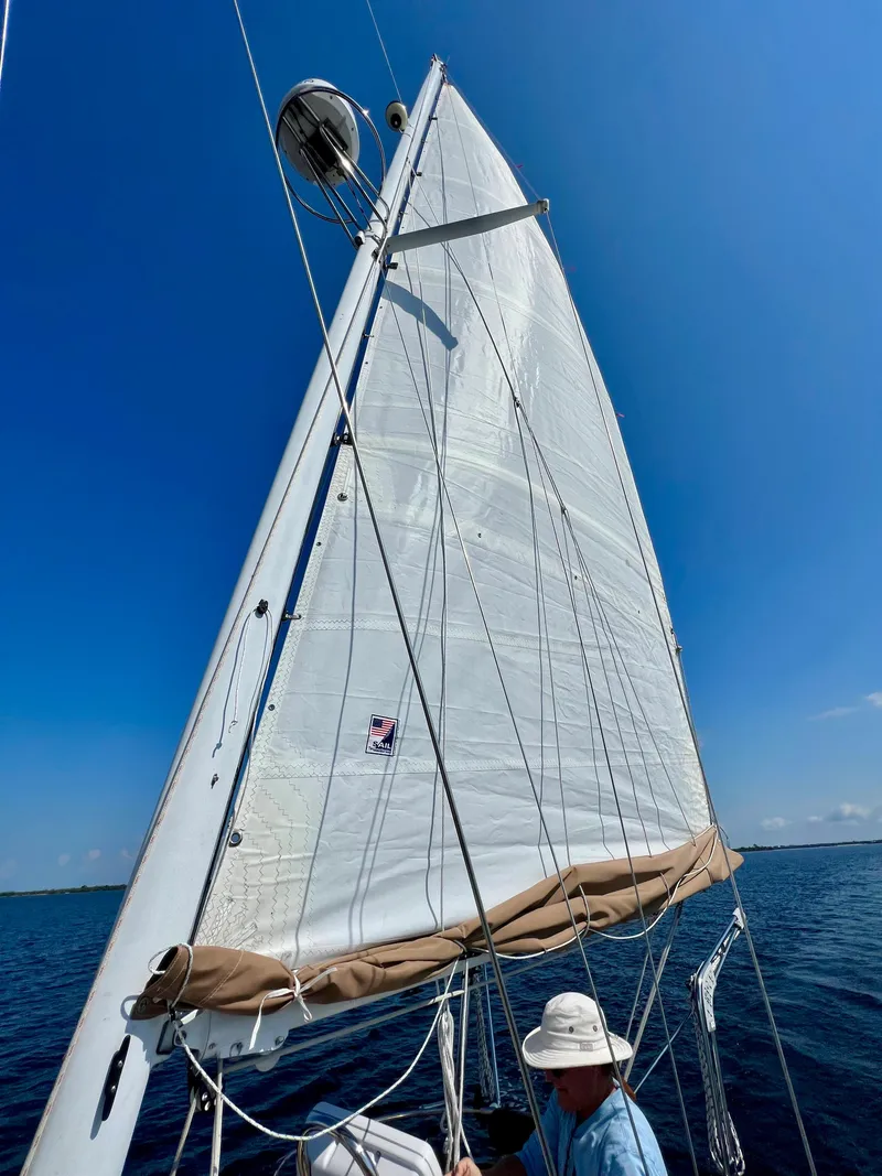 Slide: The Image of Cherubini 44 1986 - 74