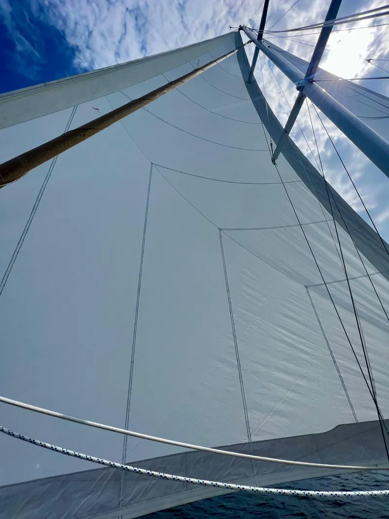 Slide: The Image of Cherubini 44 1986 - 75