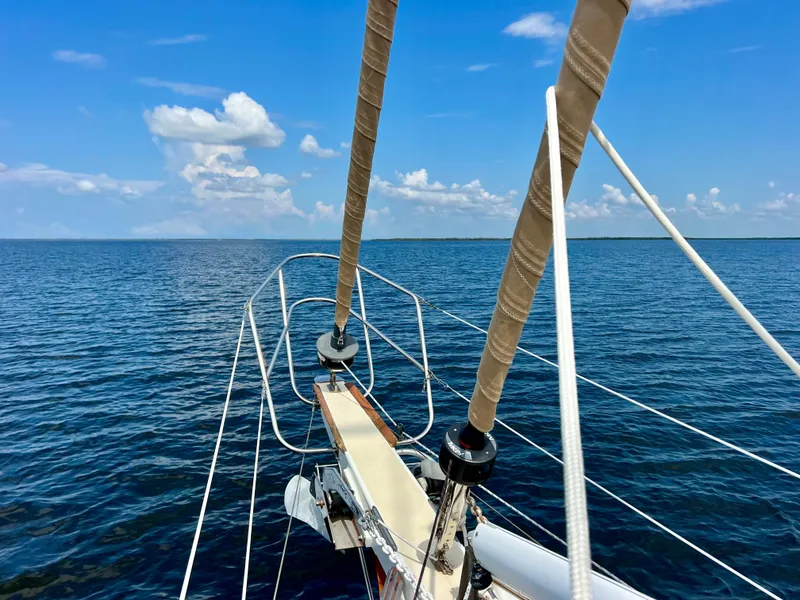 Slide: The Image of Cherubini 44 1986 - 76