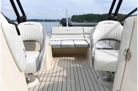 Slide: The Image of Stingray 231 DC 2023 - 12