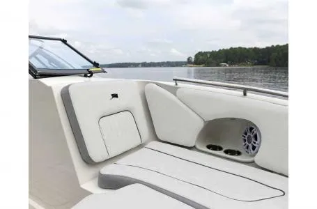 Slide: The Image of Stingray 231 DC 2023 - 4