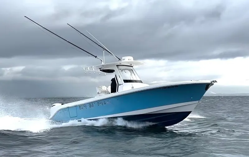 Slide: The Image of 2021 Edgewater 262CC boat cruising on the ocean under cloudy skies. - 24