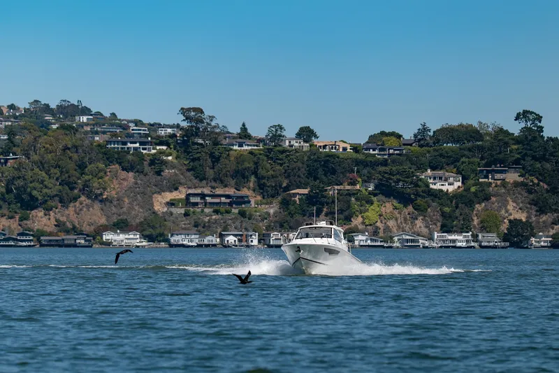 Slide: The Image of 2024 Pursuit OS 325 Offshore cruising on scenic waterway with coastal homes in background. - 18