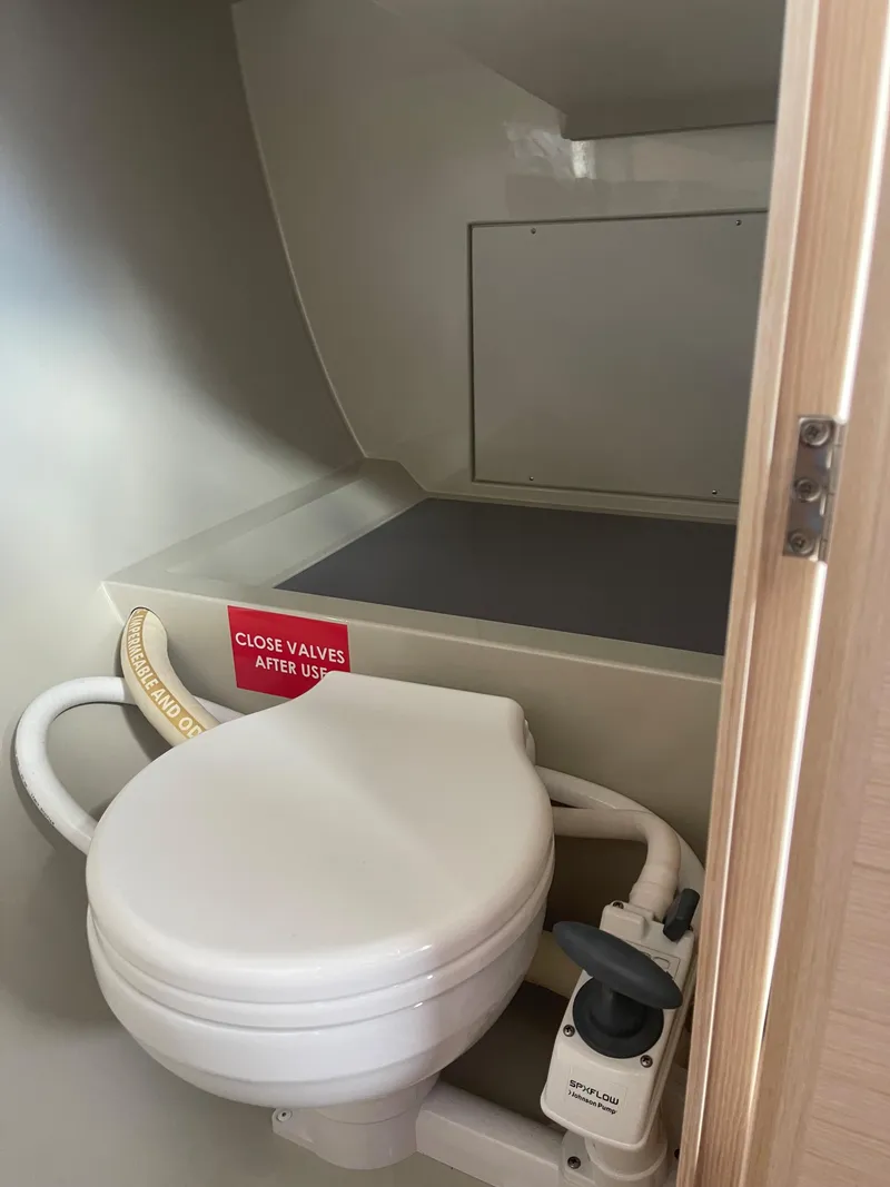 Slide: The Image of Saffier 33 Life 2026 - 8