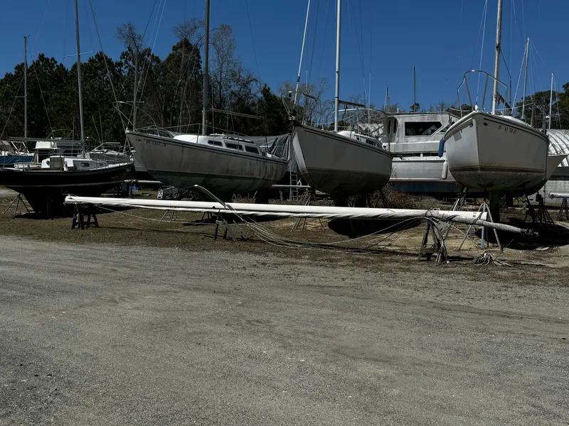 Slide: The Image of 1984 S2 9.2 - 12