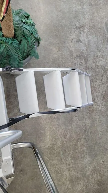 Slide: The Image of 2023 Bennington 23 LSB boat ladder with white steps and metal frame. - 18