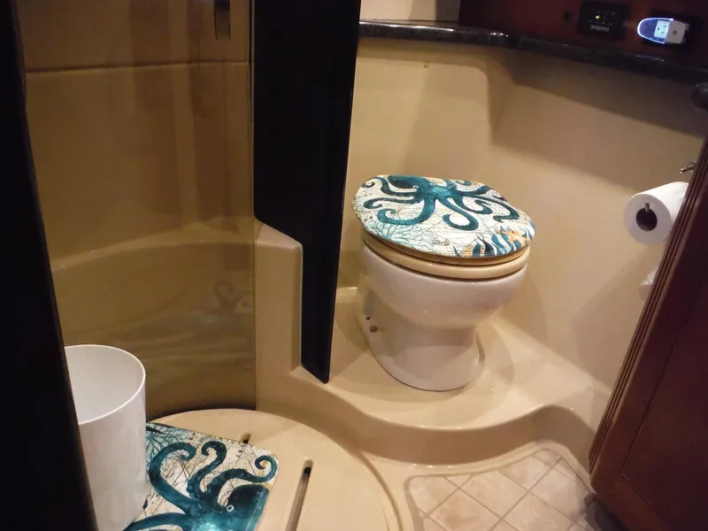 Slide: The Image of 2005 Cruisers Yachts 455 Express Motoryacht bathroom with octopus-themed decor. - 28
