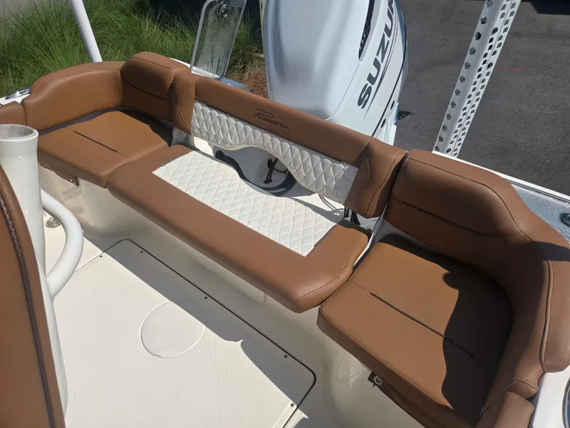 Slide: The Image of Pioneer 222 Islander 2025 - 3