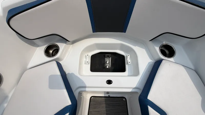 Slide: The Image of Scarab 195ID 2023 - 46