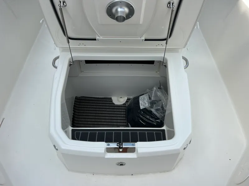 Slide: The Image of Boston Whaler 250 Dauntless 2027 - 18