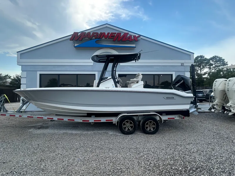 Slide: The Image of Boston Whaler 250 Dauntless 2027 - 2