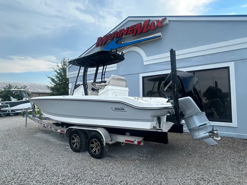 Slide: The Image of Boston Whaler 250 Dauntless 2027 - 4
