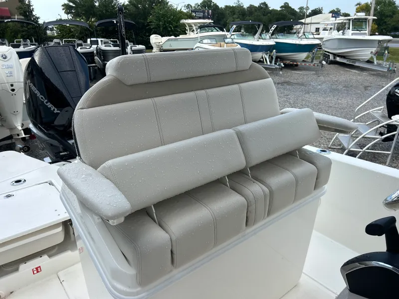 Slide: The Image of Boston Whaler 250 Dauntless 2027 - 15