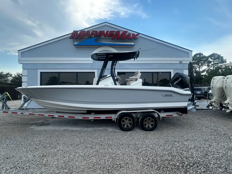 The Image of Boston Whaler 250 Dauntless 2027 - 0