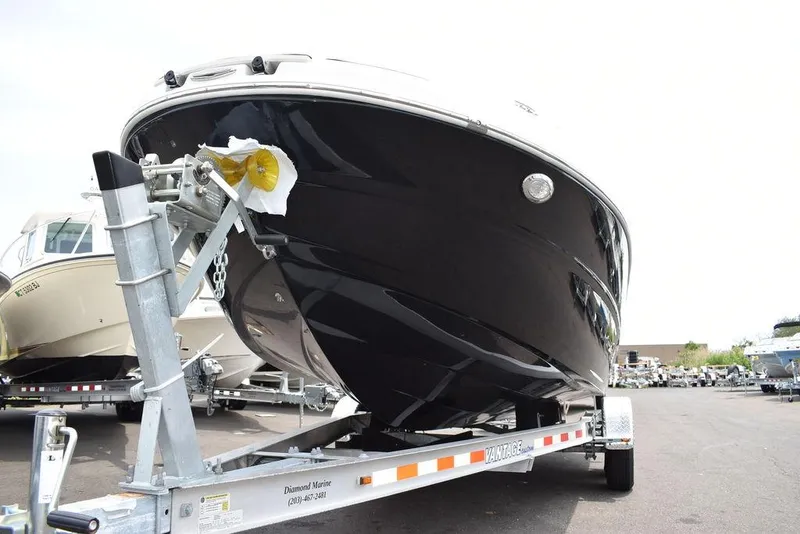 Slide: The Image of Stingray 231 DC 2023 - 58