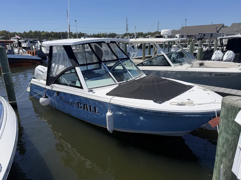 The Image of Blackfin 252 DC 2021 - 0