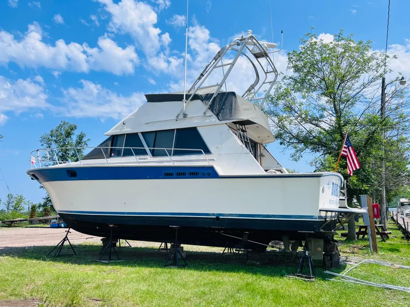 Slide: The Image of Silverton 40 Convertible 1988 - 3