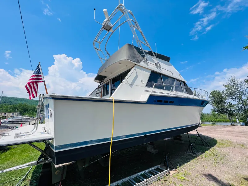 Slide: The Image of Silverton 40 Convertible 1988 - 4