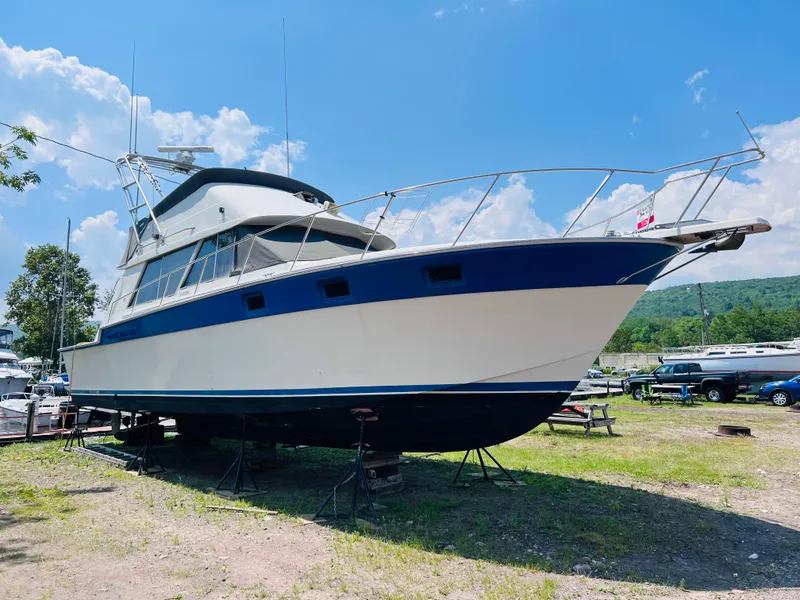 Slide: The Image of Silverton 40 Convertible 1988 - 5