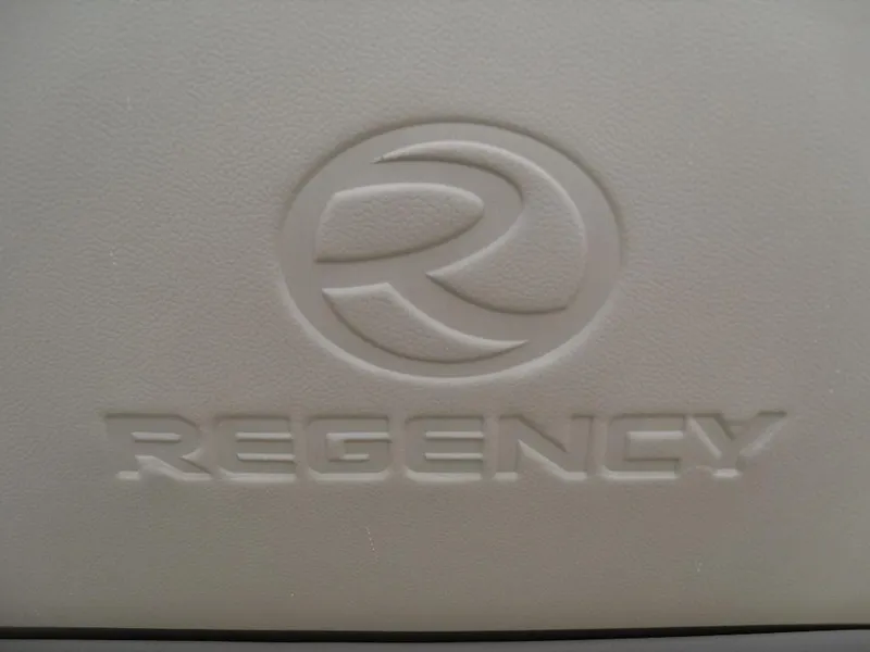 Slide: The Image of 2024 Regency 250 DL3 logo embossed on a beige surface. - 18