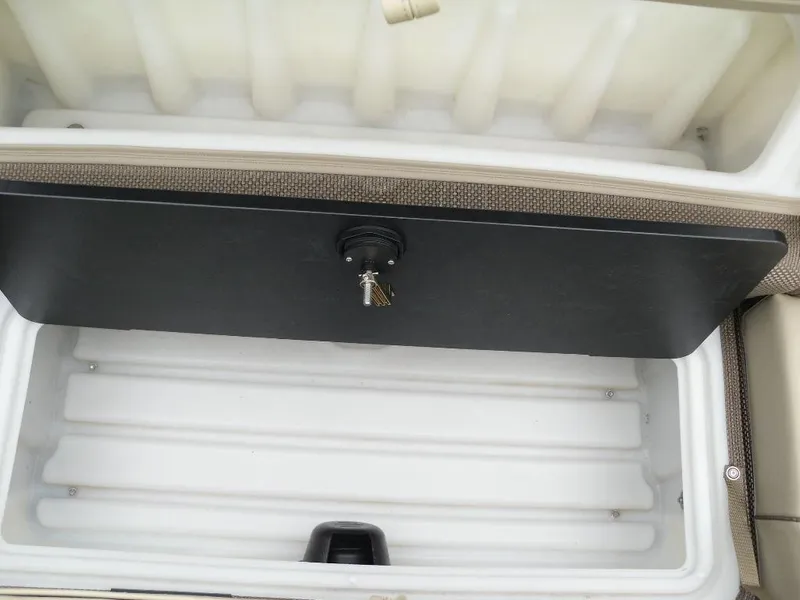 Slide: The Image of 2024 Regency 250 DL3 storage compartment with open lid, showcasing interior space. - 39