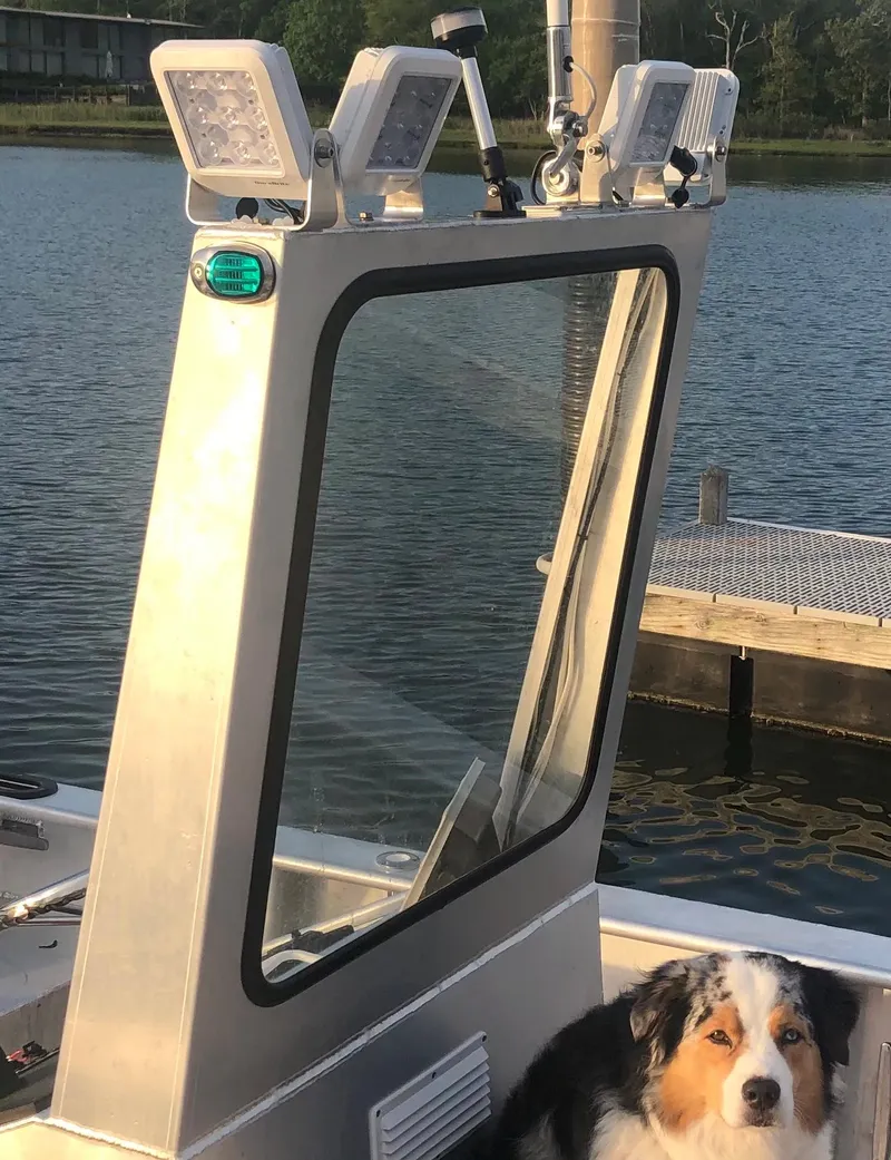 Slide: The Image of Custom 19 Center Console boat with dog, 2021 model, docked by a serene lake. - 5