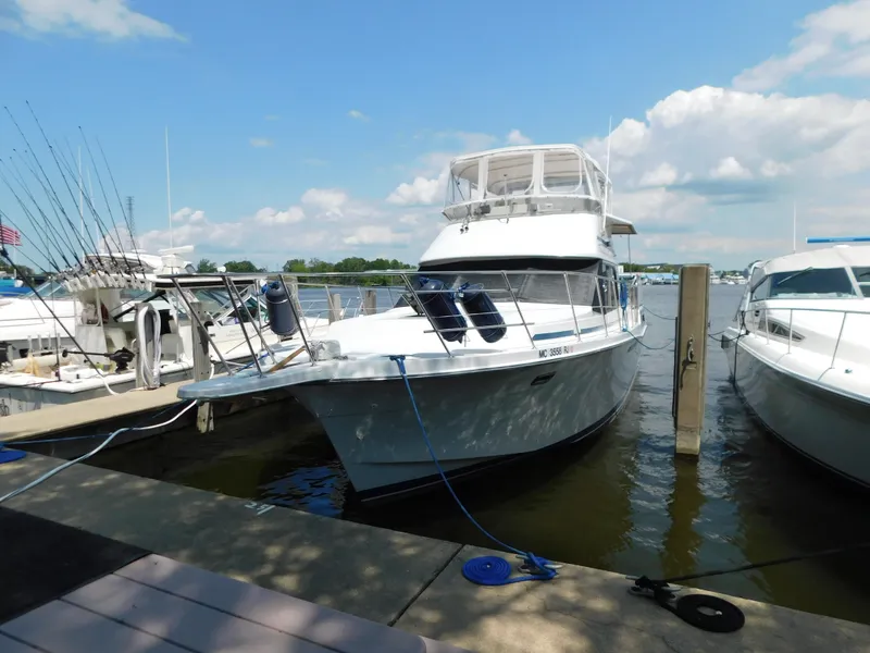 The Image of 1988 Chris-Craft 426 Catalina yacht docked at marina under blue sky. - 1