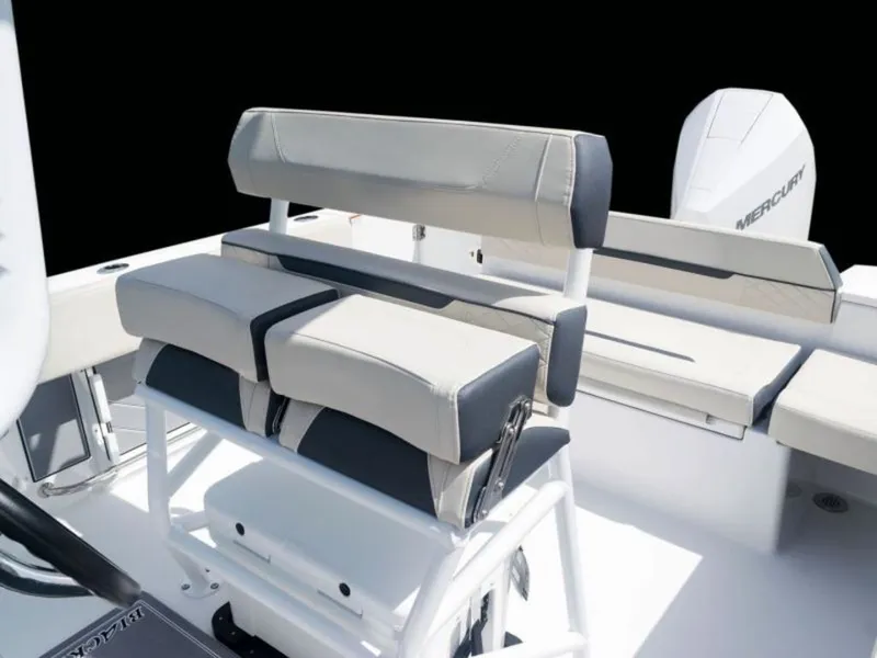 Slide: The Image of Blackfin 222 CC 2023 - 3