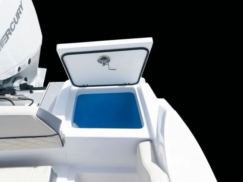 Slide: The Image of Blackfin 222 CC 2023 - 6