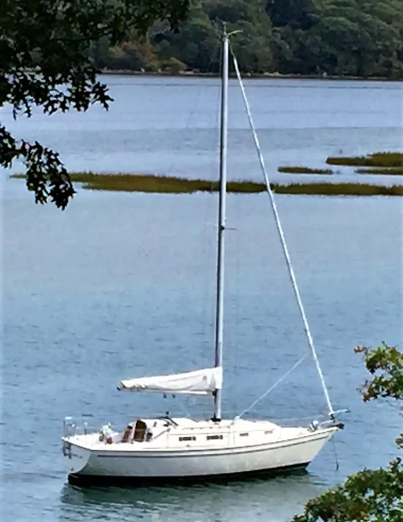 The Image of 1986 Pearson 303 sailboat anchored on a serene lake with lush greenery. - 0