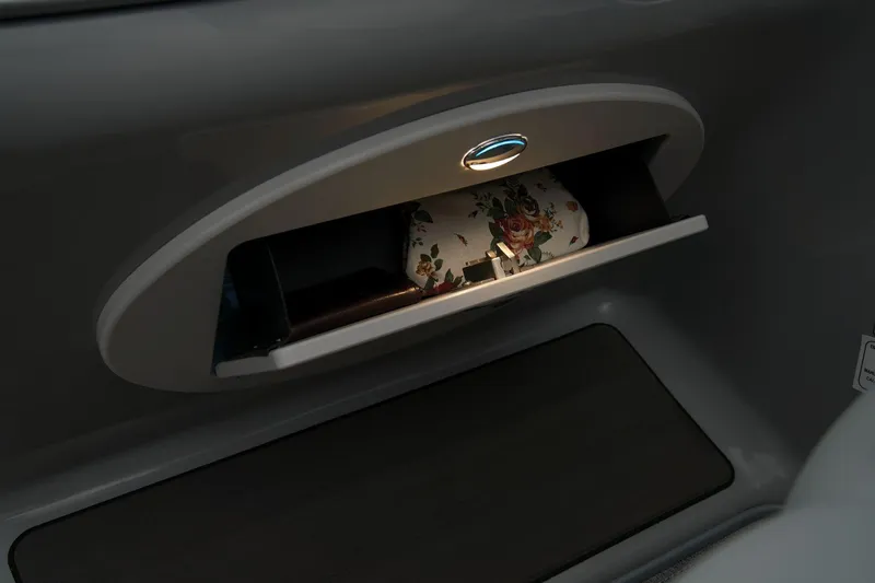 Slide: The Image of 2024 Regency 230 DL3 illuminated storage compartment with floral bag. - 42