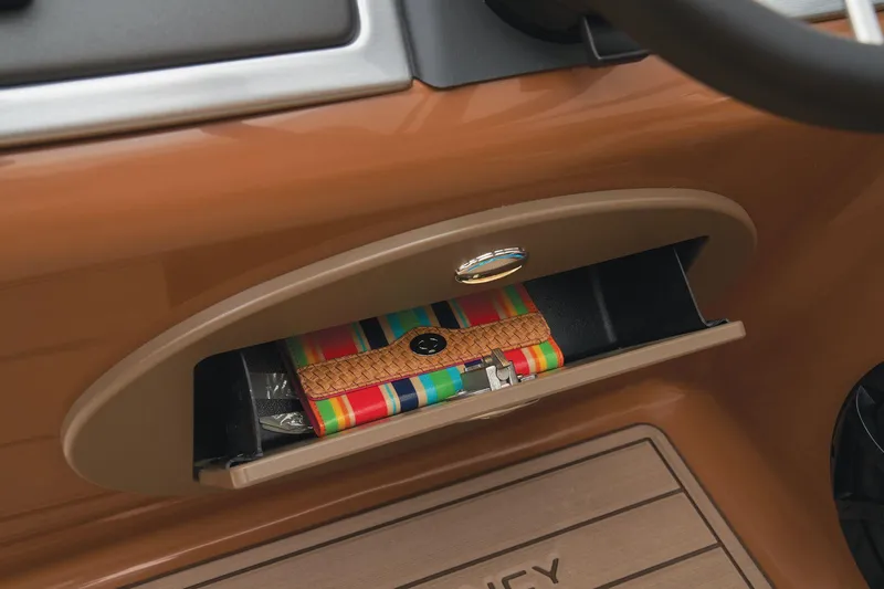 Slide: The Image of 2024 Regency 250 LE3 storage compartment with colorful wallet. - 57