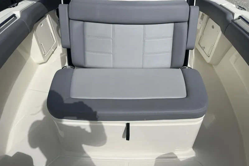 Slide: The Image of Boston Whaler 250 Outrage 2024 - 30