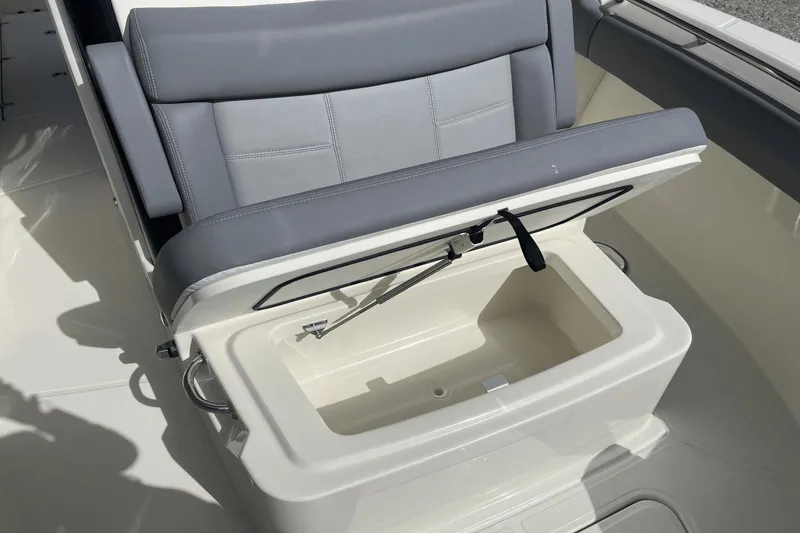 Slide: The Image of Boston Whaler 250 Outrage 2024 - 31