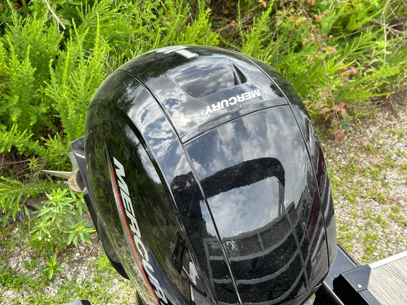 Slide: The Image of 2024 Ranger Reata 223C with Mercury outboard motor in a natural setting. - 18